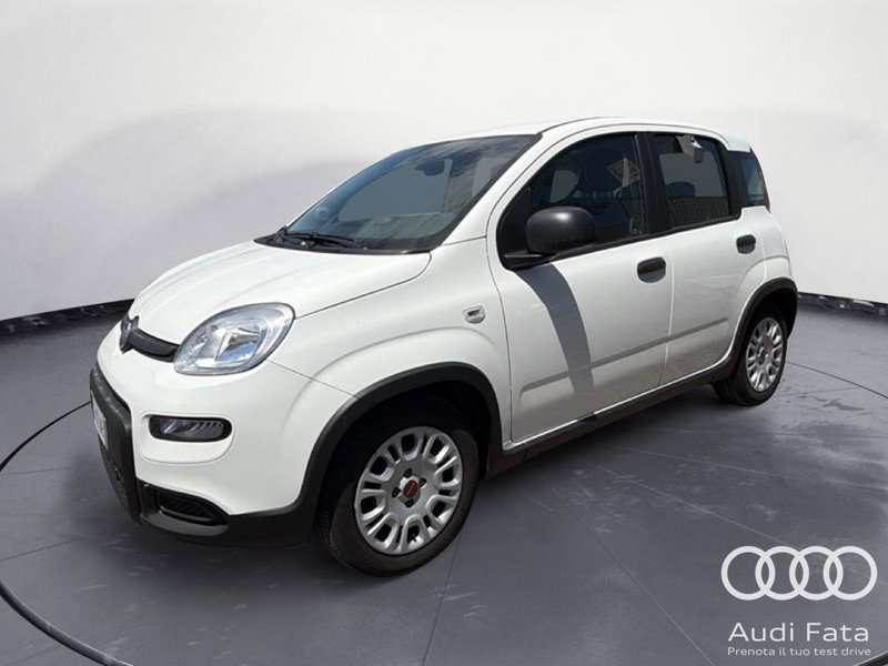 Fiat Panda 1.0 FireFly S&S Hybrid del 2023 usata a Catania