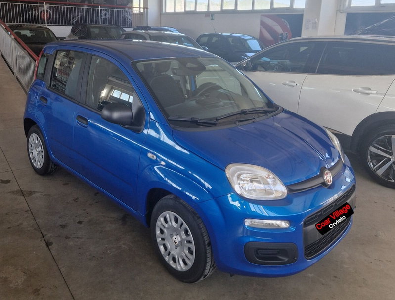 Fiat Panda 1.0 firefly hybrid Icon s&s 70cv nuova a Orvieto
