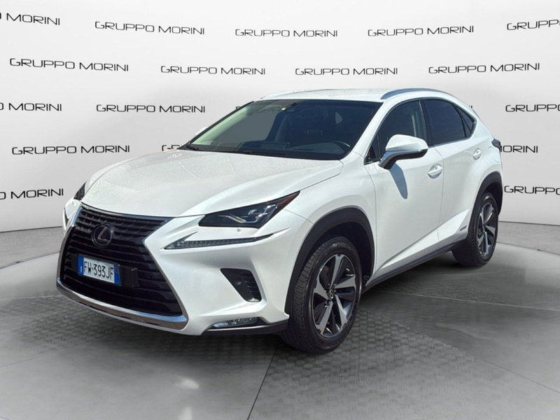 Lexus NX Hybrid 4WD Luxury del 2019 usata a San Giorgio e Bigarello