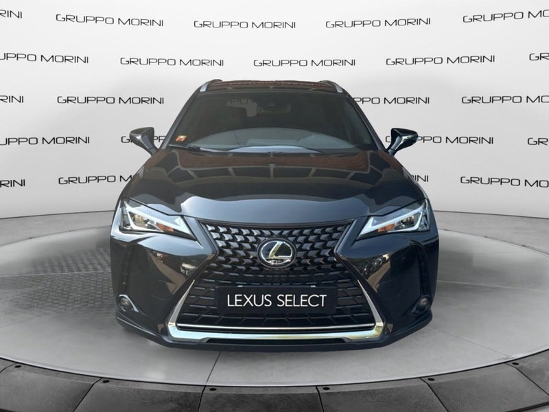 Lexus UX Hybrid 4WD Executive del 2019 usata a San Lazzaro di Savena