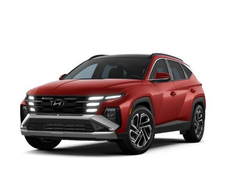 Hyundai Tucson 1.6 hev Business 2wd 239cv auto nuova a Roma