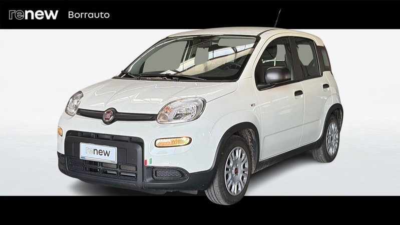 Fiat Panda 1.0 FireFly S&S Hybrid Easy del 2024 usata a Conegliano