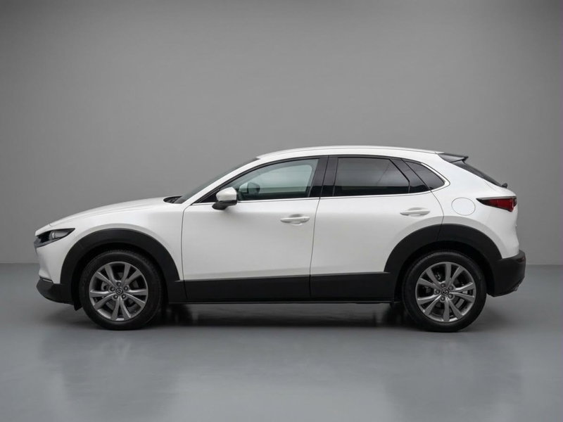 Mazda CX-30 Skyactiv-G M Hybrid 2WD Executive del 2020 usata a Lamezia Terme
