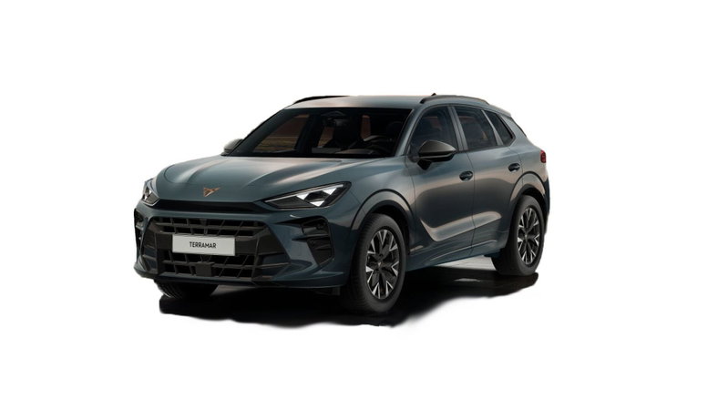 Cupra Terramar 1.5 e-hybrid Impulse 204cv dsg nuova a Vasto