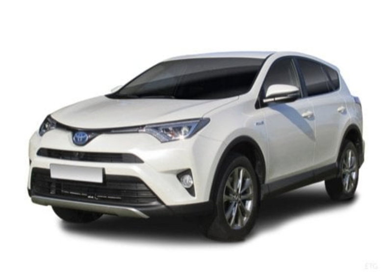 Toyota Rav4 Hybrid 2WD Dynamic del 2018 usata a Palermo
